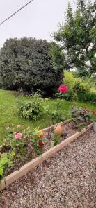 B&B / Chambres d'hotes La Mirabelle : photos des chambres