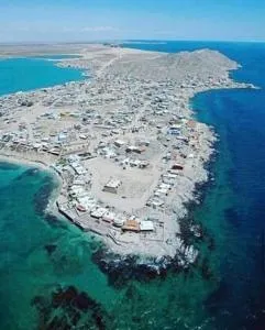 Scottscondo - La Choya