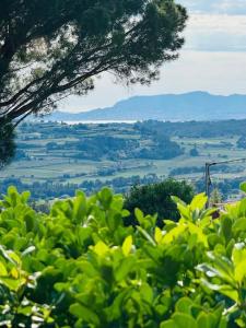 Maisons de vacances Maison climatisee avec piscine proche bandol : photos des chambres