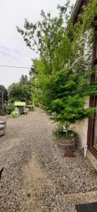 Maisons de vacances Gite la mirabelle : photos des chambres