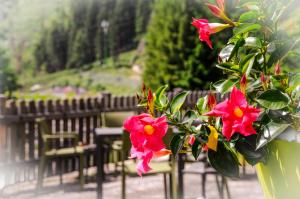 B&BeautyFol Dolomites B&B adults only