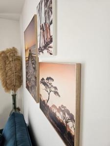 Appartements Le St Antoine - Centre Ville - Parking : photos des chambres