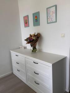 Beach Apartment Biograd I 50m from the Beach, Sea View & Free Parking