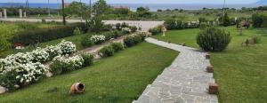Villa Harrys