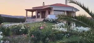 Villa Harry's - Dhíkella