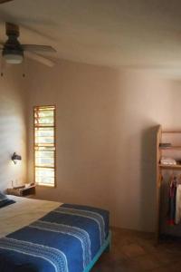 Charming Casa Pacifico with AC, Starlink and Great Location