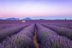 Maisons de vacances Maison chaleureuse en Provence : photos des chambres