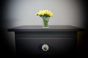 casa la vida loca 0815