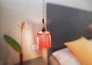 casa la vida loca 0815