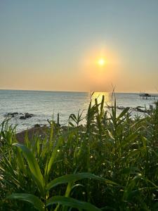 Angolo di Paradiso Perla Turchino