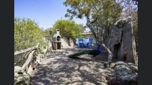Seaside Villa in Porto Rotondo + Shared Pool img11
