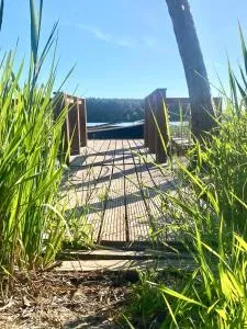 Zielona Mila - Piaseczno