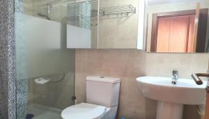 "el señor de treville"