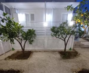 Casa Virgilio