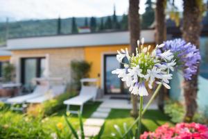 Locanda Fassa