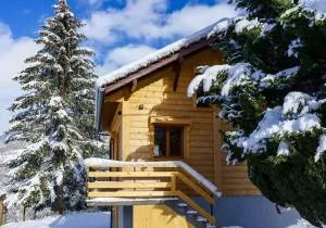 Le Chalet Lovecy - Vue sur les montagnes 4/5 pers - 贝尔内