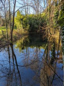 Campings Graines de nature - Ecolodges Insolites : photos des chambres