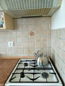 Dom z ogrodem w malowniczej okolicy Bieszczady