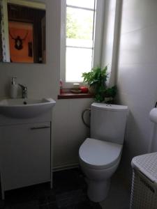 Dom z ogrodem w malowniczej okolicy Bieszczady