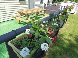 Campings Camping les goelands : photos des chambres