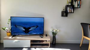 Ferienwohnungen Hankenstraße