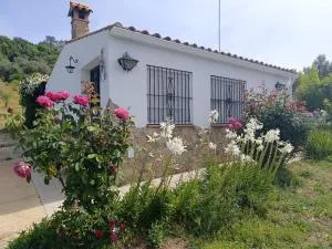 Finca del Abu - Corterrangel