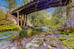 Fire Pit & Mtn Views! Cabin, Steps to Wind River