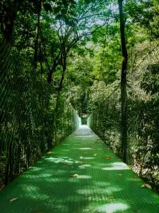 Figues - Río Jiménez