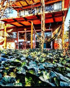 Los Pájaros Lodge en Chacras de Coria - Ubytování bez kategorie ve městě Chacras de Coria