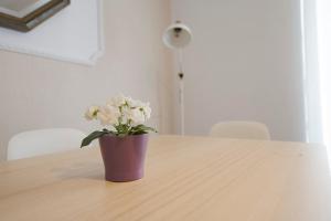 Apartamento ideal y acogedor Bengoetxea en pleno centro de Donostia - San Sebastián