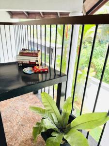 Skylight Villa