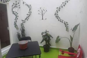 Departamento pequeño y acogedor en Colonia Roma