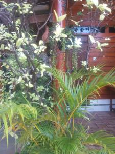 Dot sea beach cabana uppuveli