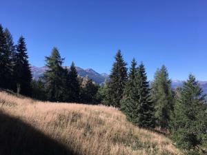 Studio lumineux prox. centre, balcon, Les Arcs 1800 - FR-1-346-573