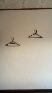 Sound Garden Biei, Cricket