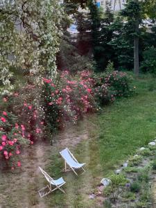 Palac Osowo gostynskie