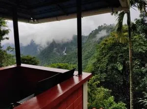 Valley View Avenue - Nilambūr