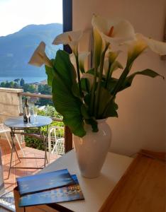 Lake and Guzzi view - Holiday Home