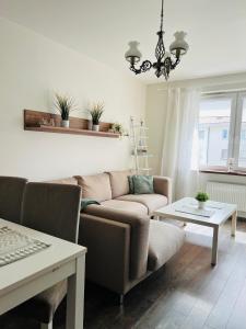 Apartament Złoty Róg