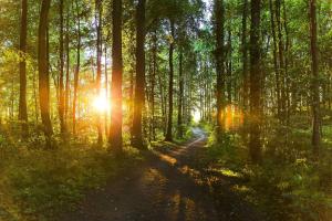 Ostsee-Chaletpark