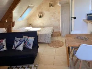 Studio Cosy à la campagne - 米西亚克