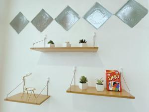 Cozy Owls Chiang Mai