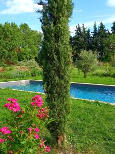 Maisons de vacances Mas de Karlotte : photos des chambres