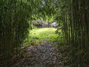 Campings Graines de nature - Ecolodges Insolites : photos des chambres