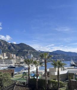 obrázek - Lovely GP F1 Apartment in Monaco