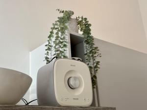 Haus Concordia 2 SUNDOWNER