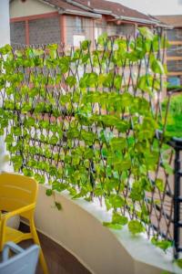 Spacious Apartment - Self Check-In & Free Parking