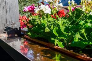 Apartment Rotbühlspitze