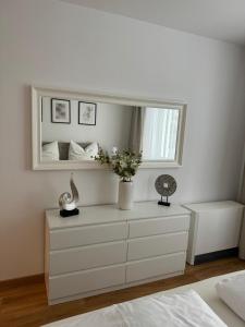 Elegant apartament in central location Graz-free parking