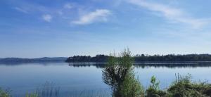Water Lily Apartment img29